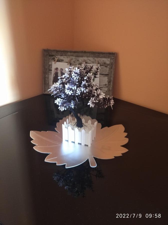 Buric Rooms Nikšić Buitenkant foto
